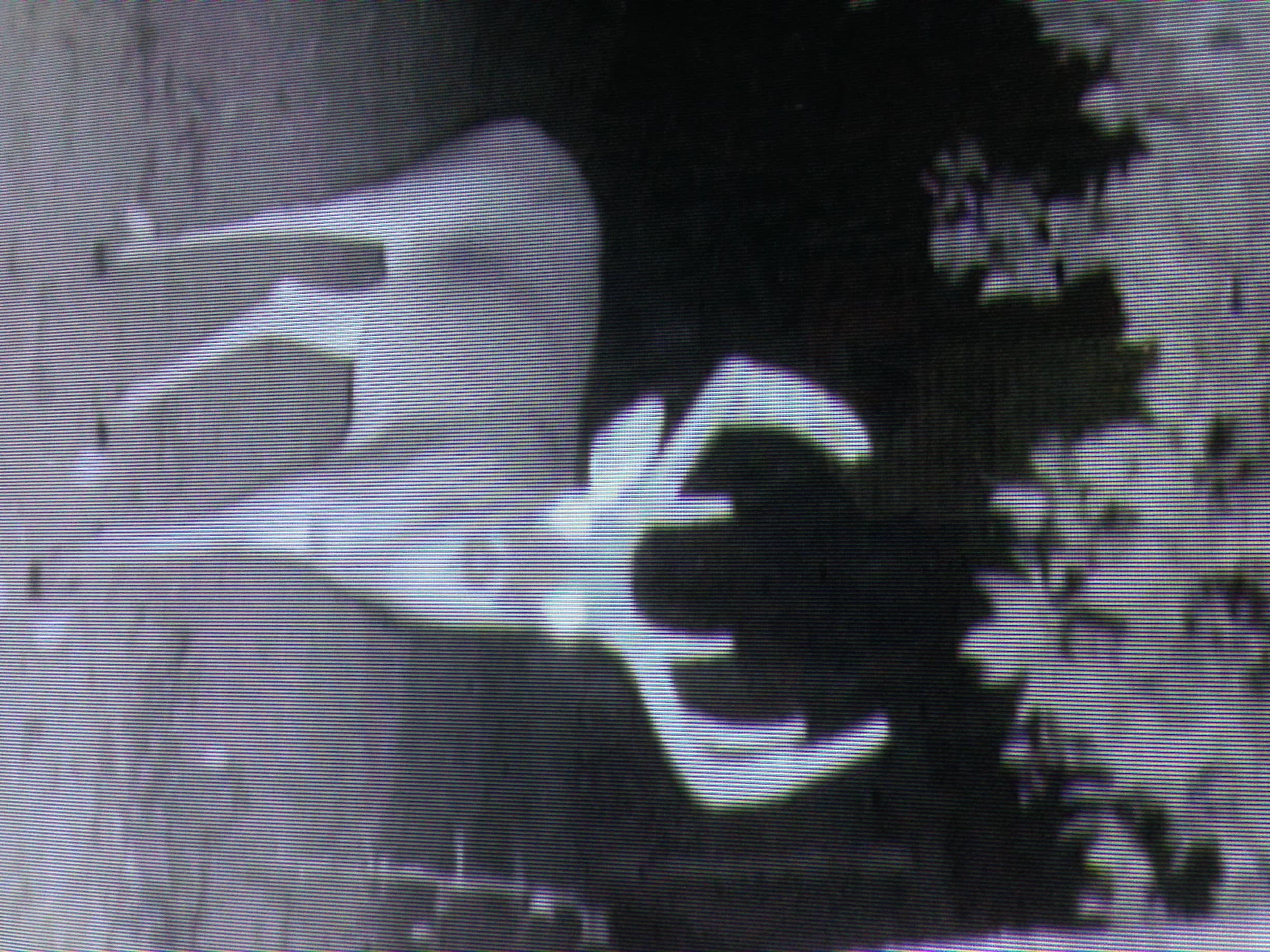 IMG_0658-e1415307531795