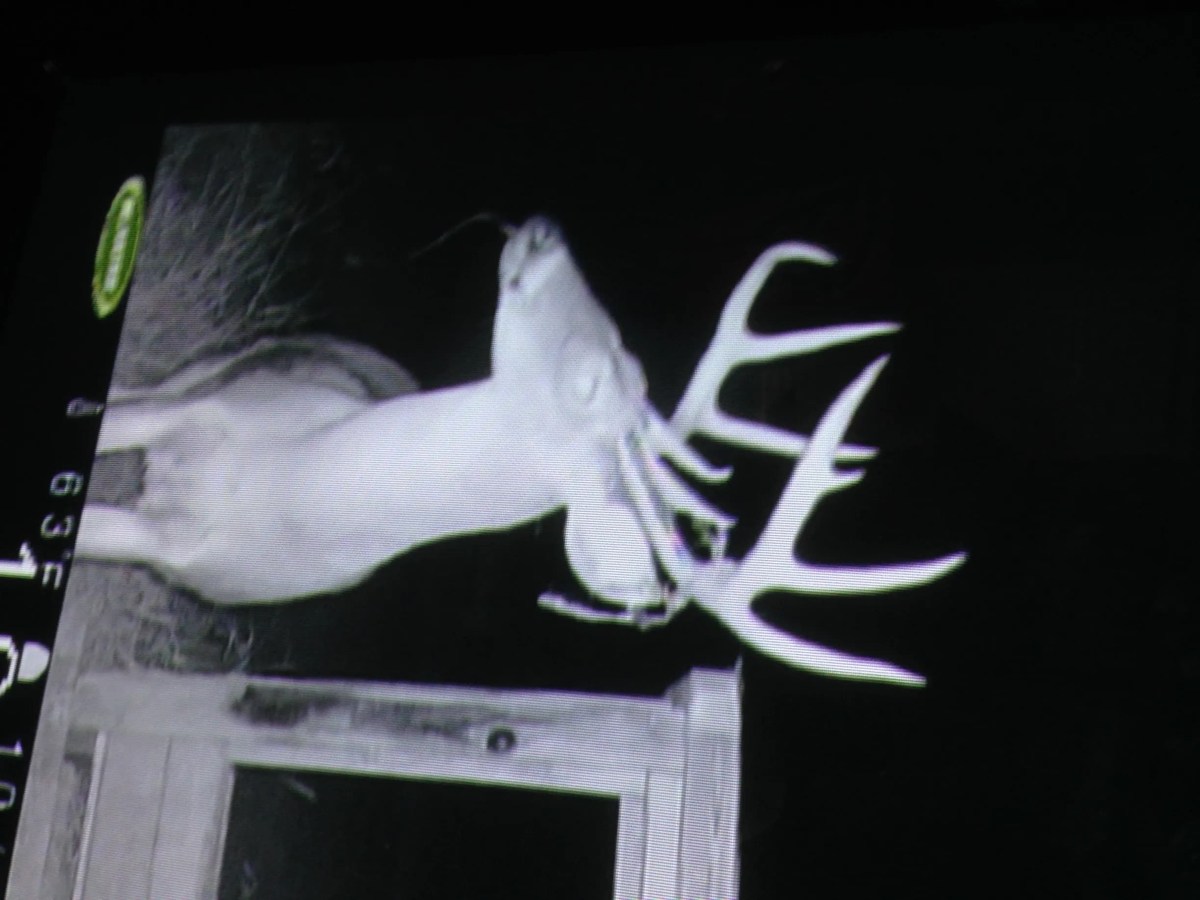 IMG_0690-e1415307761207